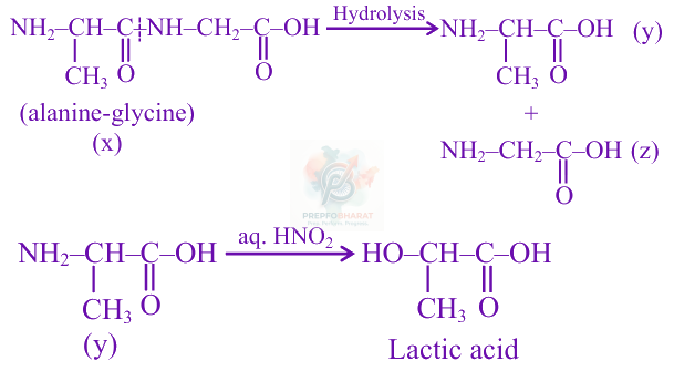 JEE Main 2025 Chemistry, Biomolecules — solution figure 1