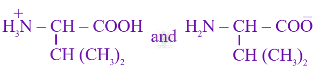 JEE Main 2025 Chemistry, Biomolecules — option A figure