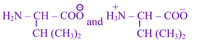 JEE Main 2025 Chemistry, Biomolecules — option C figure