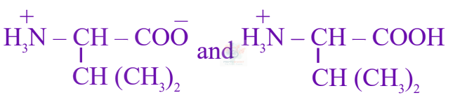 JEE Main 2025 Chemistry, Biomolecules — option D figure