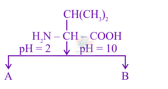JEE Main 2025 Chemistry, Biomolecules — question figure