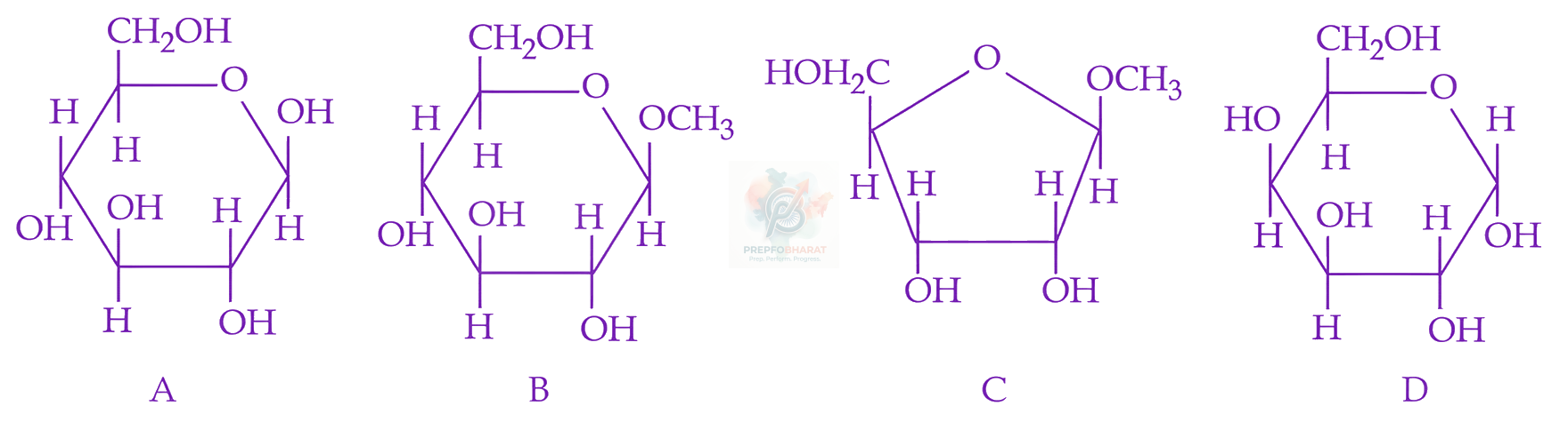 JEE Main 2026 Chemistry, Biomolecules — question figure