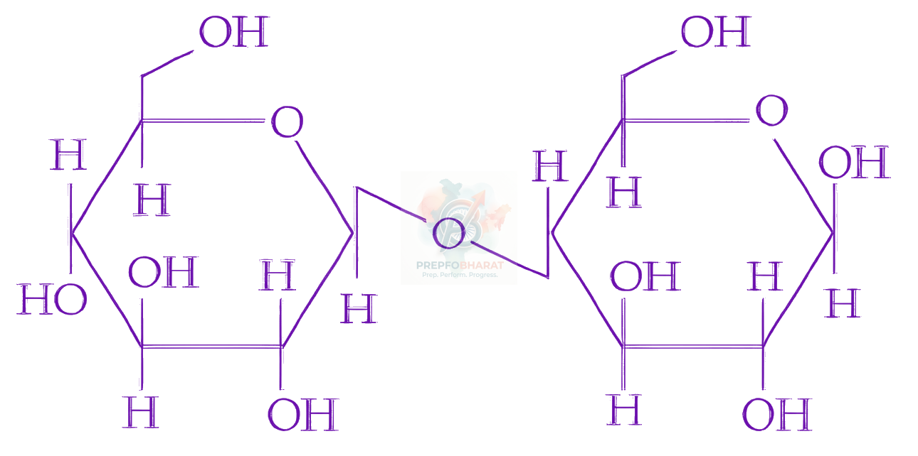 JEE Main 2026 Chemistry, Biomolecules — option B figure