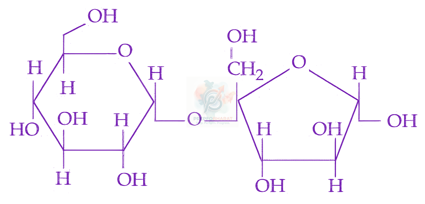 JEE Main 2026 Chemistry, Biomolecules — option C figure