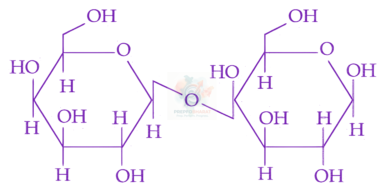 JEE Main 2026 Chemistry, Biomolecules — option D figure
