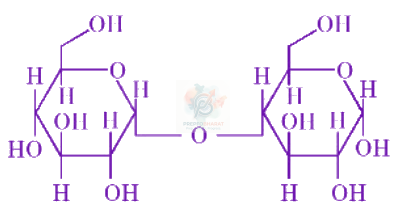 JEE Main 2026 Chemistry, Biomolecules — question figure 1