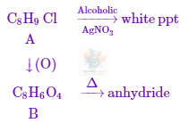 JEE Main 2013 Chemistry, Carboxylic Acid Derivatives — solution figure 1