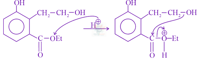 JEE Main 2019 Chemistry, Carboxylic Acid Derivatives — solution figure 1