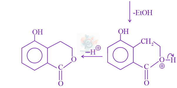 JEE Main 2019 Chemistry, Carboxylic Acid Derivatives — solution figure 2