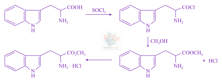 JEE Main 2021 Chemistry, Carboxylic Acid Derivatives — solution figure