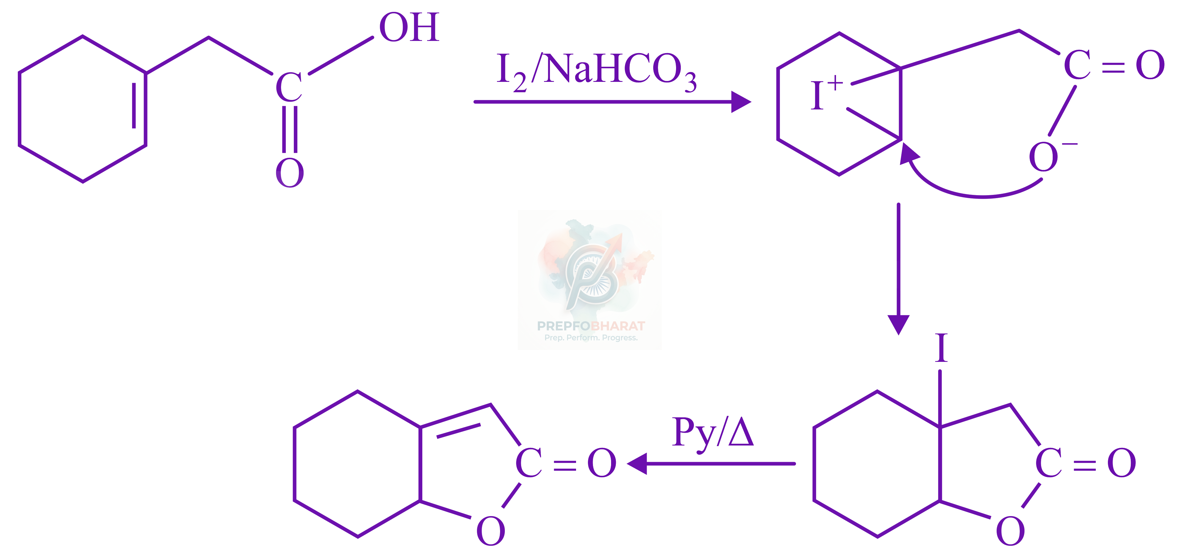 JEE Main 2022 Chemistry, Carboxylic Acid Derivatives — solution figure
