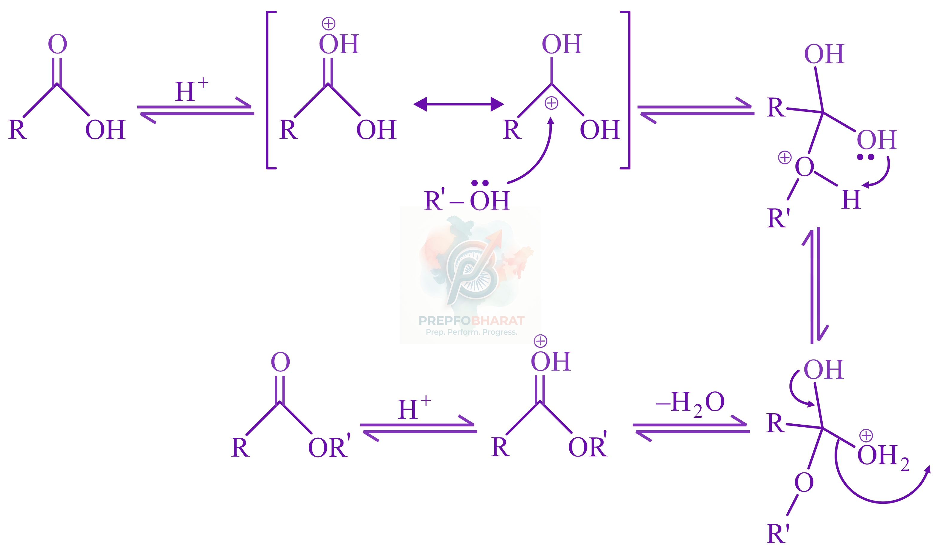 JEE Main 2022 Chemistry, Carboxylic Acid Derivatives — solution figure