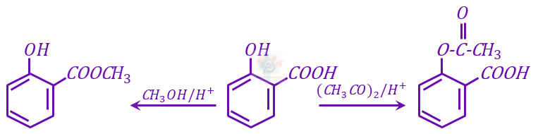 JEE Main 2023 Chemistry, Carboxylic Acid Derivatives — solution figure