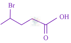 JEE Main 2023 Chemistry, Carboxylic Acid Derivatives — option B figure
