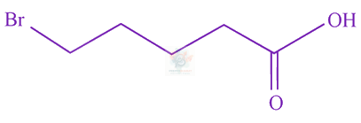 JEE Main 2023 Chemistry, Carboxylic Acid Derivatives — option D figure
