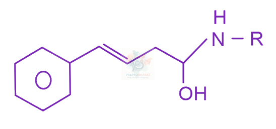 JEE Main 2023 Chemistry, Carboxylic Acid Derivatives — option A figure