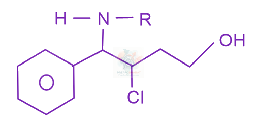 JEE Main 2023 Chemistry, Carboxylic Acid Derivatives — option C figure