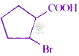 JEE Main 2024 Chemistry, Carboxylic Acid Derivatives — option D figure