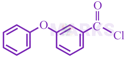 JEE Main 2024 Chemistry, Carboxylic Acid Derivatives — option A figure
