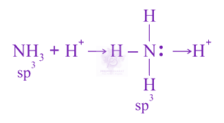 JEE Main 2020 Chemistry, Chemical Bonding and Molecular Structure — solution figure