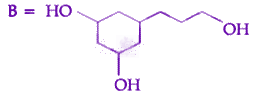 JEE Main 2020 Chemistry, Chemical Bonding and Molecular Structure — option C figure 2