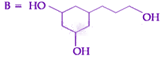 JEE Main 2020 Chemistry, Chemical Bonding and Molecular Structure — option D figure 2