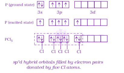 JEE Main 2022 Chemistry, Chemical Bonding and Molecular Structure — solution figure 1