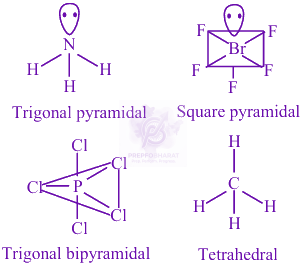JEE Main 2024 Chemistry, Chemical Bonding and Molecular Structure — solution figure