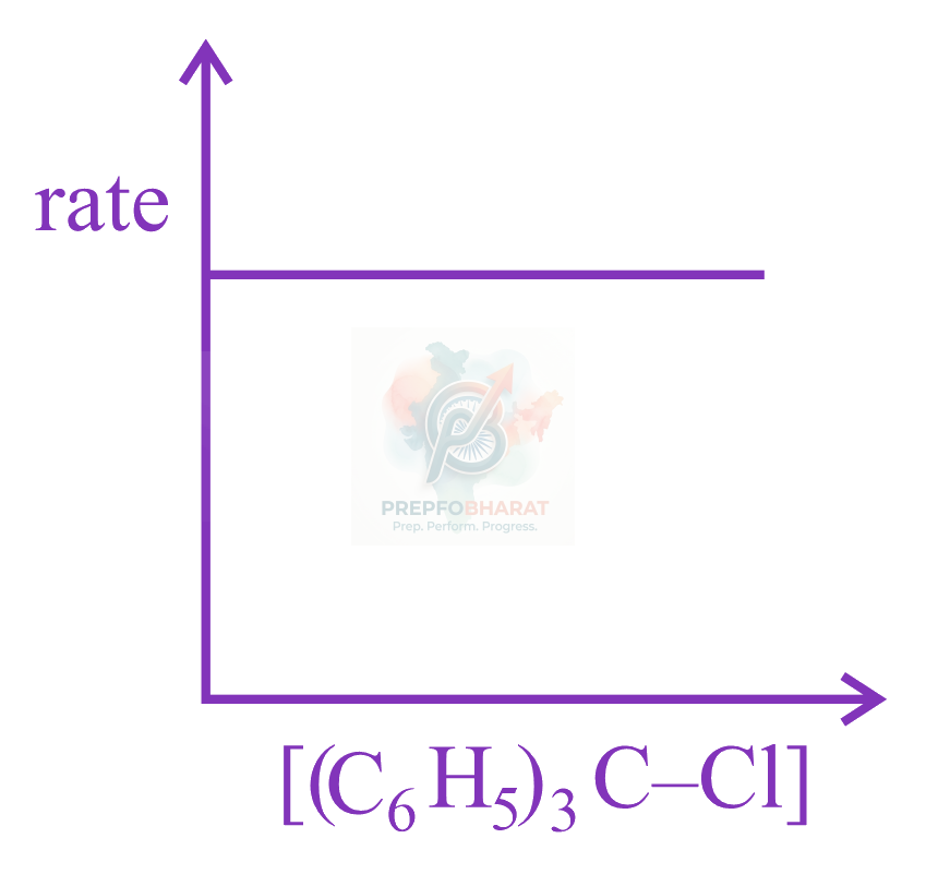 JEE Main 2023 Chemistry, Chemical Kinetics — option A figure