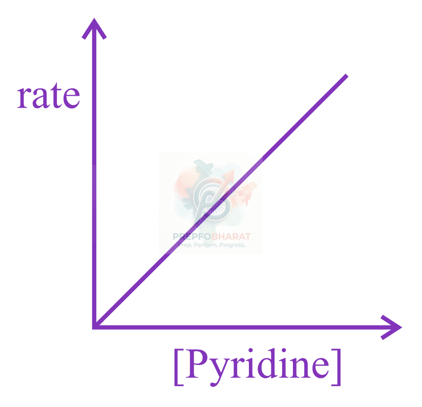 JEE Main 2023 Chemistry, Chemical Kinetics — option D figure