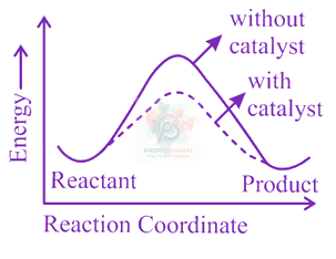 JEE Main 2023 Chemistry, Chemical Kinetics — option B figure