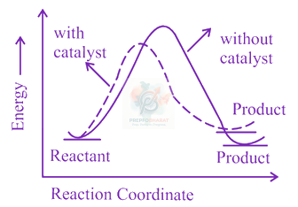 JEE Main 2023 Chemistry, Chemical Kinetics — option C figure