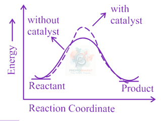 JEE Main 2023 Chemistry, Chemical Kinetics — option D figure