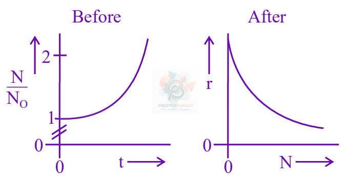 JEE Main 2025 Chemistry, Chemical Kinetics — option A figure