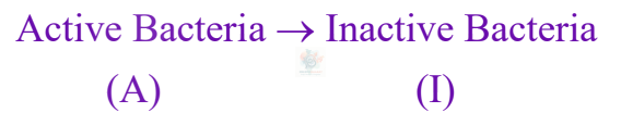 JEE Main 2025 Chemistry, Chemical Kinetics — solution figure