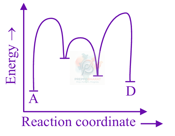 JEE Main 2025 Chemistry, Chemical Kinetics — option B figure