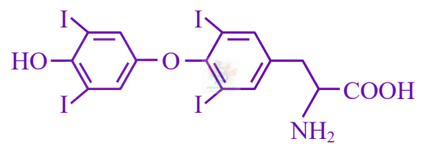 JEE Main 2025 Chemistry, Chemistry in Everyday Life — question figure