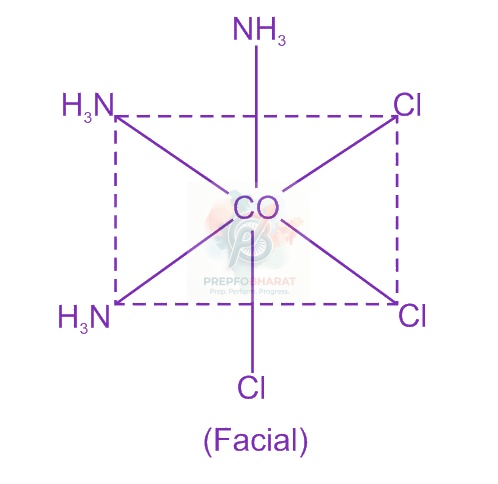 JEE Main 2013 Chemistry, Coordination Compounds — solution figure 1