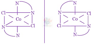 JEE Main 2016 Chemistry, Coordination Compounds — solution figure 3