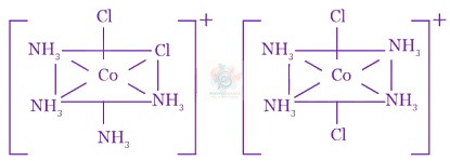 JEE Main 2016 Chemistry, Coordination Compounds — solution figure 4