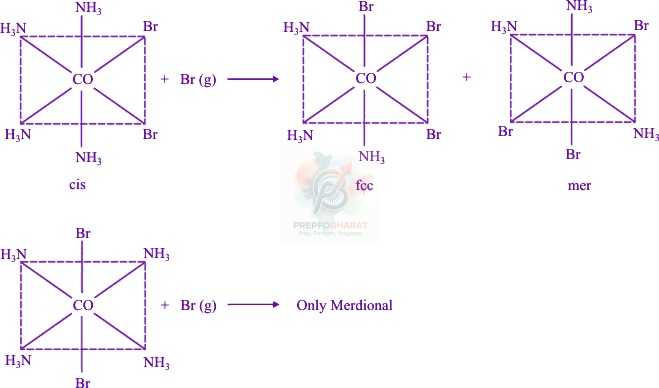 JEE Main 2018 Chemistry, Coordination Compounds — solution figure