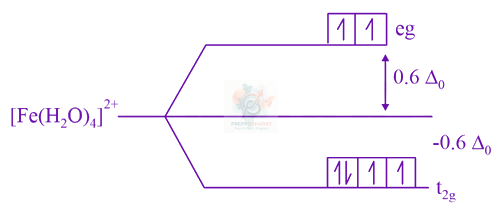 JEE Main 2019 Chemistry, Coordination Compounds — solution figure 1