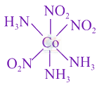 JEE Main 2021 Chemistry, Coordination Compounds — solution figure 2