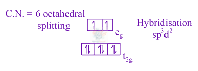 JEE Main 2021 Chemistry, Coordination Compounds — solution figure 1