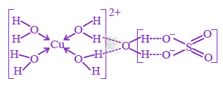 JEE Main 2022 Chemistry, Coordination Compounds — solution figure