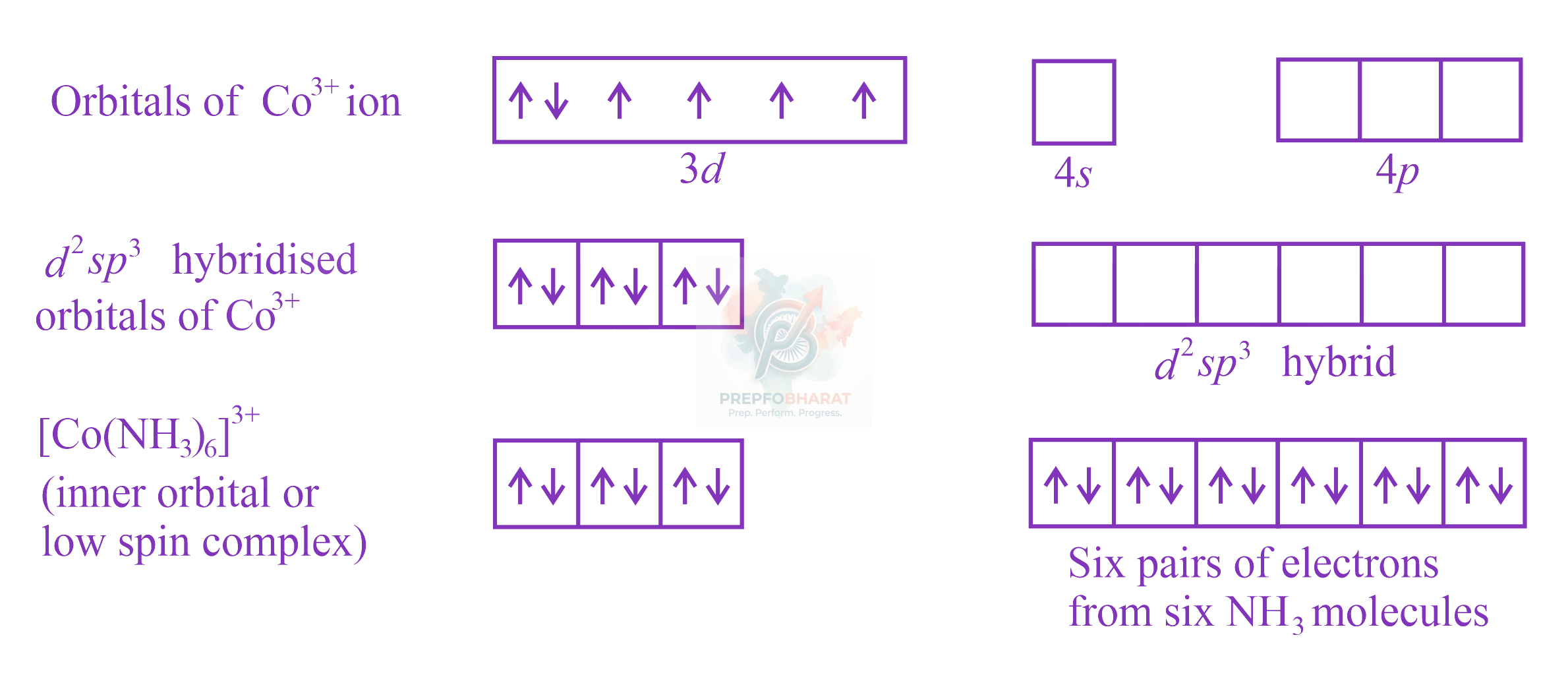 JEE Main 2023 Chemistry, Coordination Compounds — solution figure