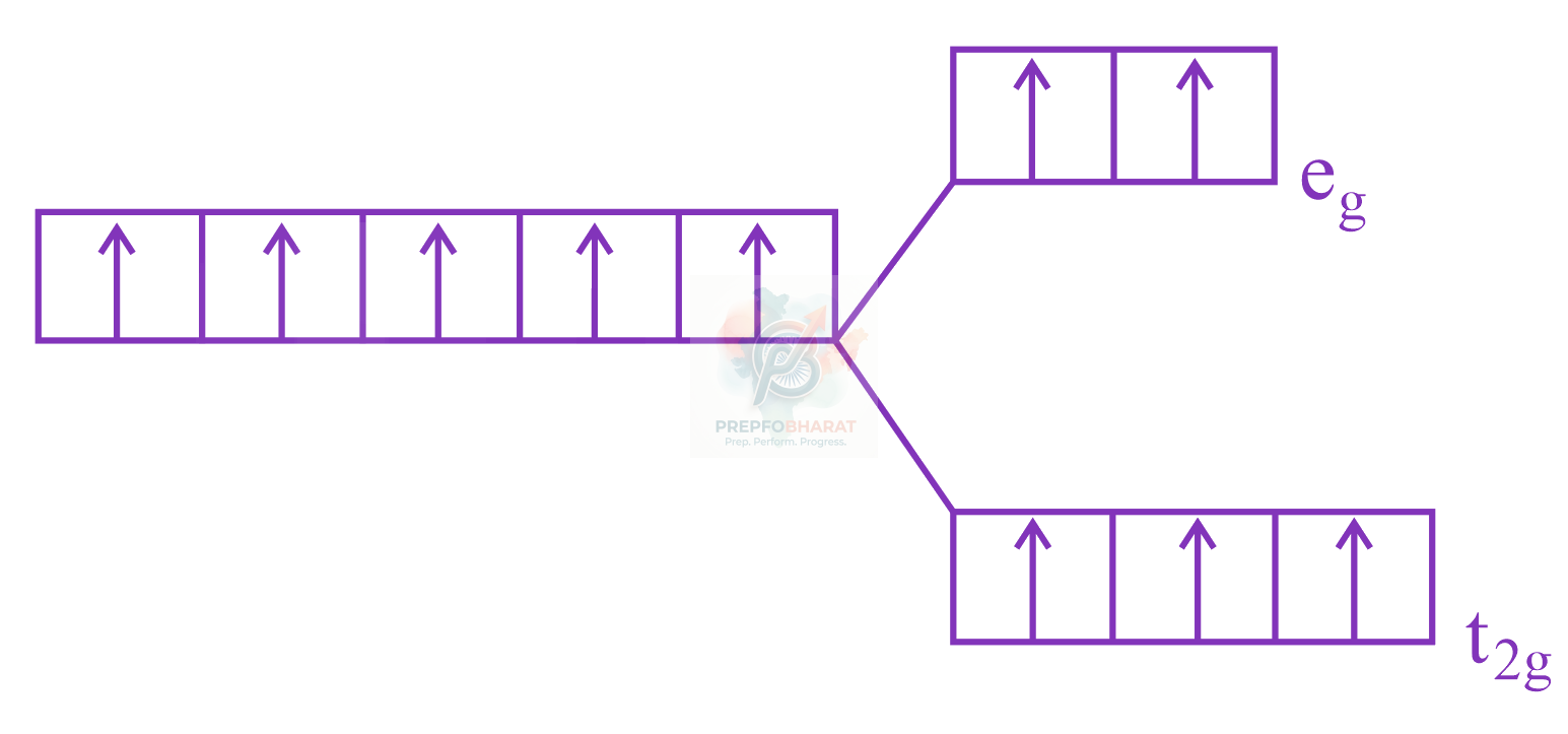 JEE Main 2023 Chemistry, Coordination Compounds — solution figure 1