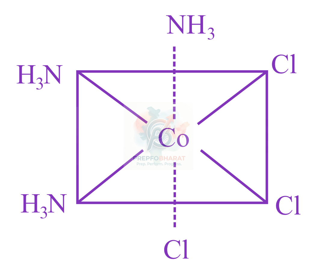 JEE Main 2023 Chemistry, Coordination Compounds — solution figure
