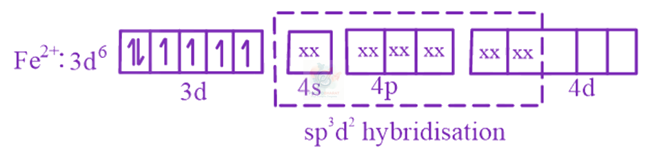 JEE Main 2023 Chemistry, Coordination Compounds — solution figure 2
