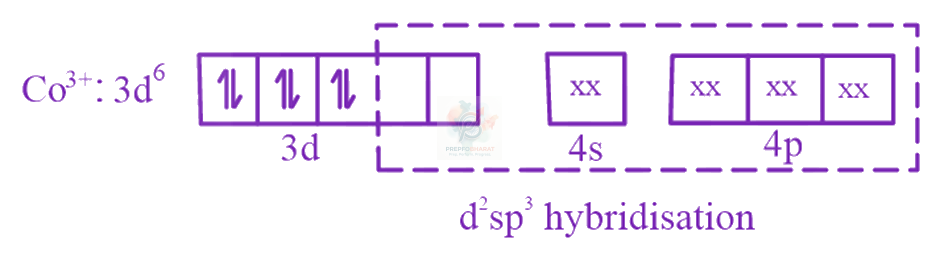 JEE Main 2023 Chemistry, Coordination Compounds — solution figure 3